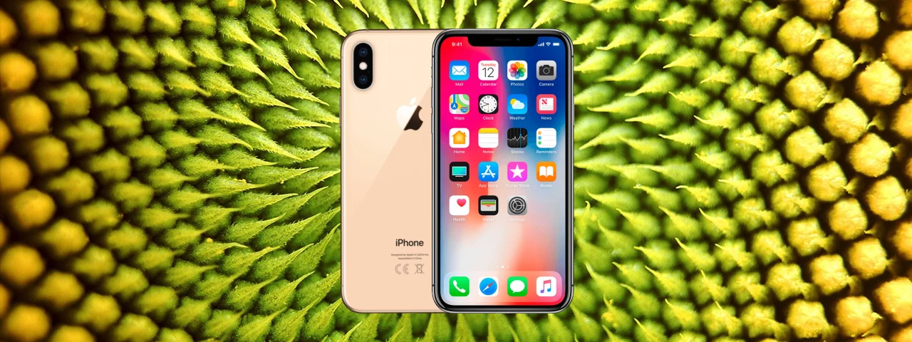iPhone Xs Cover